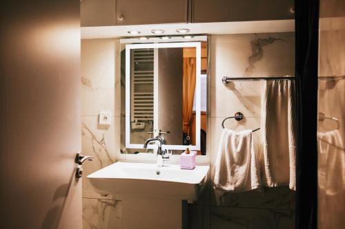 蒂耶里堡L'Alouette - Appartement 60m2 PMR的一间带水槽和镜子的浴室