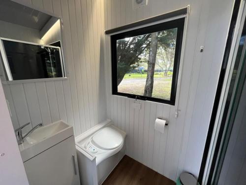Dadswells BridgeTiny House 21 at Grampians Edge的一间带卫生间和窗户的小浴室