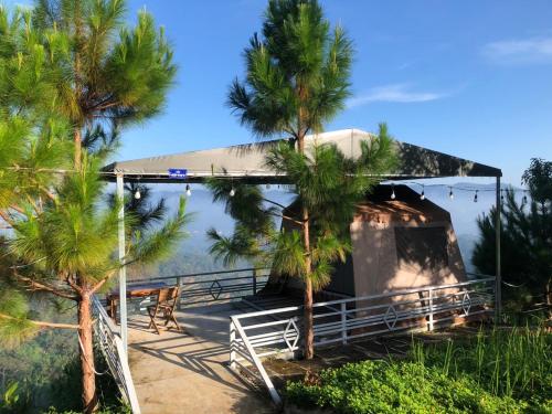 Buôn KuopVOI RỪNG HILL HOMESTAY的棕榈树的度假村