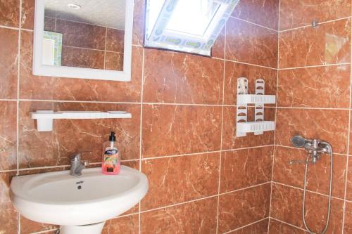 梅斯蒂亚度度佳帕里德兹旅馆的一间带水槽和镜子的浴室