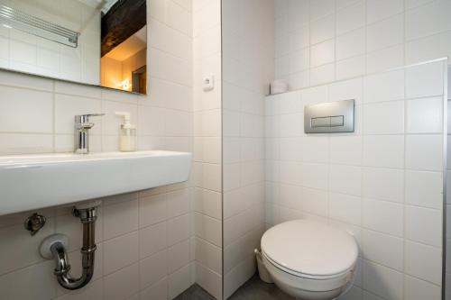 阿德尔什帕赫Penzion Pod hradem的白色的浴室设有卫生间和水槽。