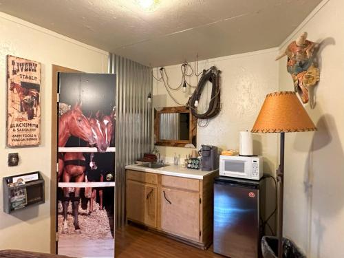 坎顿Acorn Hideaways Canton Old Western Ranch Hands' Suite的一间带水槽和微波炉的小厨房
