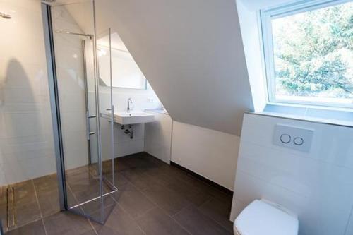 韦斯特兰Strandkoje-Landhaus-Tadsen的带淋浴、卫生间和盥洗盆的浴室