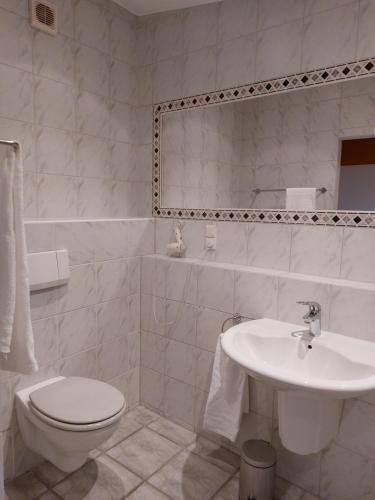 杜塞尔多夫Gut Hansenhof的白色的浴室设有卫生间和水槽。
