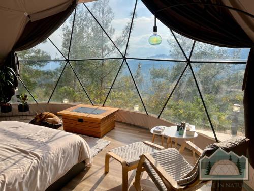 拉纳卡Dome in Nature的卧室配有一张位于大窗户前的床铺和椅子