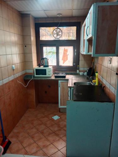 沙迦Family Studio Apartment的一间带水槽和微波炉的小厨房