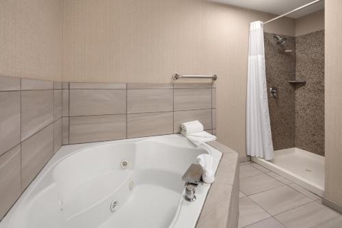 奥马哈樱桃山智选假日酒店的浴室配有白色浴缸和淋浴。