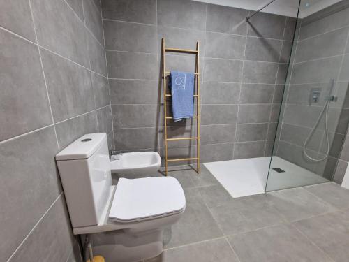 卡勒达德福斯特Hoy Caleta Apartments的一间带卫生间和淋浴的浴室