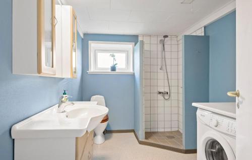 里伯Stunning Home In Ribe With Wi-fi的一间带水槽和洗衣机的浴室