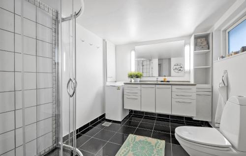 瓦伊比2 Bedroom Stunning Home In Vejby的带淋浴和卫生间的白色浴室