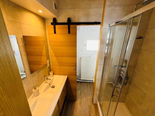 拉姆吉贝洛比斯托酒店的一间带水槽和淋浴的浴室