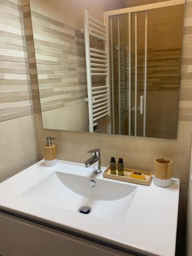 阿尔比Cathédrale Appart的浴室设有白色水槽和镜子