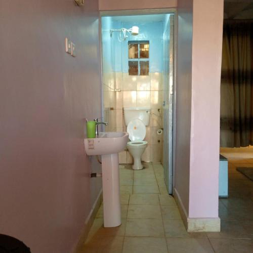 ThikaVerona Airbnb的一间带水槽和卫生间的浴室