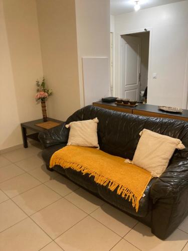 帕莱索T2 centre ville RERB pour 2-4 personnes的黑色皮沙发上带橙色毯子