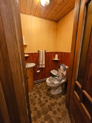 PagiriaiSvečiu Namai的一间带卫生间和水槽的浴室