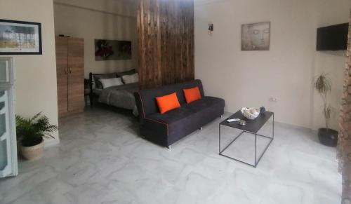 沃洛斯Στουντιο Βολος Ν Ιωνια的客厅配有沙发和带橙色枕头的床