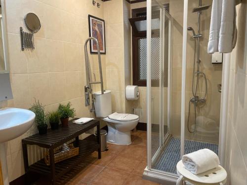 格拉纳达Apartamentos Inside Casa de la Alberca的带淋浴、卫生间和盥洗盆的浴室