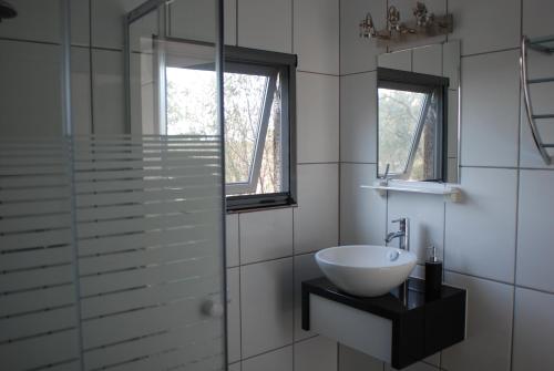 VimieiroBubulcus and Bolotas - Off Grid Nature Holiday Home的一间带水槽和玻璃淋浴的浴室