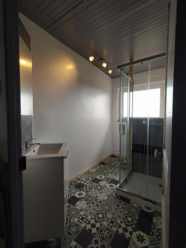 克罗宗Appartement vue sur mer的带淋浴和盥洗盆的浴室