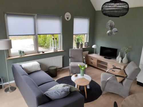曲马勒姆4-persoons vakantiehuisje Simmerwille的客厅配有蓝色的沙发和电视