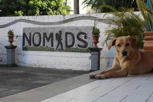 萨尔瓦多Nomads Hostel Multicultural & Coworking的一只棕色的狗躺在地表的标志前