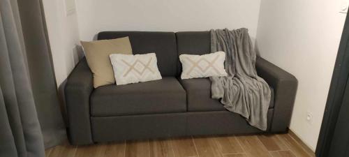 勒唐蓬Les Camélias的客房内的一张带枕头的灰色沙发