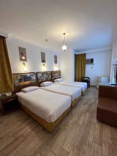 开罗赫利奥波利斯奥艾西斯酒店的酒店客房设有两张床和电视。
