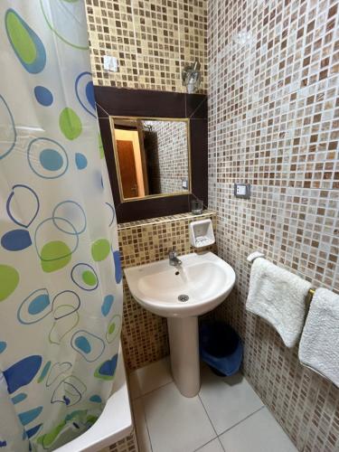开罗赫利奥波利斯奥艾西斯酒店的一间带水槽和淋浴帘的浴室