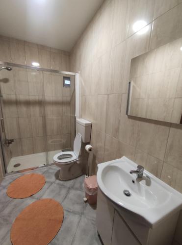 安旱斯达塞拉埃斯特雷拉宾馆的一间带水槽、卫生间和淋浴的浴室
