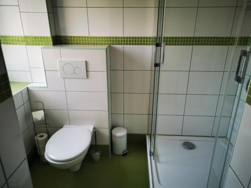 赫任斯科Penzion u Jezevce的一间带卫生间和淋浴的小浴室