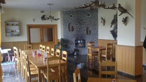 诺维胡特Penzion Tetřívek的一间带桌椅和壁炉的餐厅