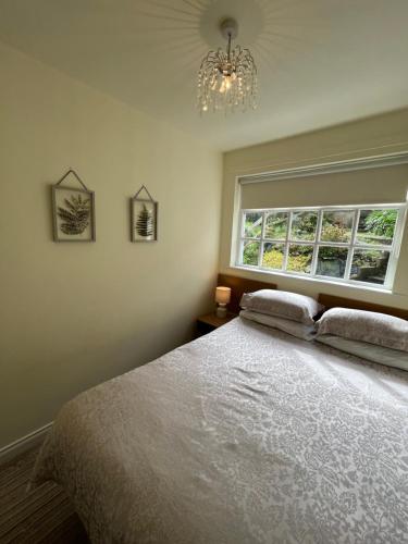 纽卡斯尔Slieve Donard Cottage Widows Row cottages的一间卧室设有一张大床和一个窗户。