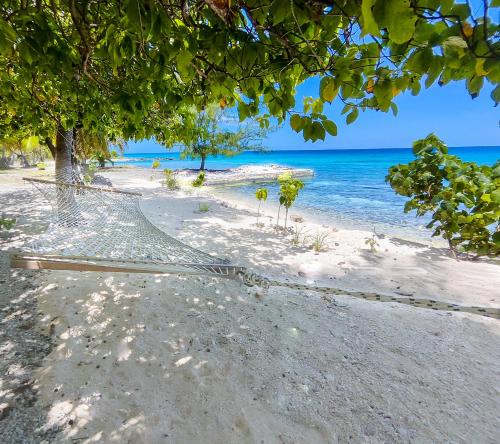 阿瓦托鲁Blue Lagoon Villa的一片空旷的海滩,一片树木和大海