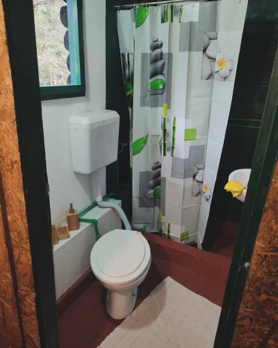 Han PijesakBrvnara Gromki - Mountain house的一间带卫生间和淋浴帘的浴室