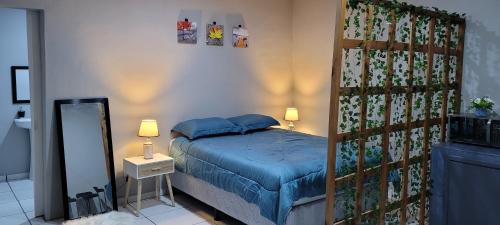 科马亚瓜LA ESTANCIA的一间小卧室,配有一张床和镜子