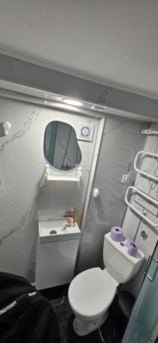 克拉尼CILT的一间带卫生间和水槽的小浴室