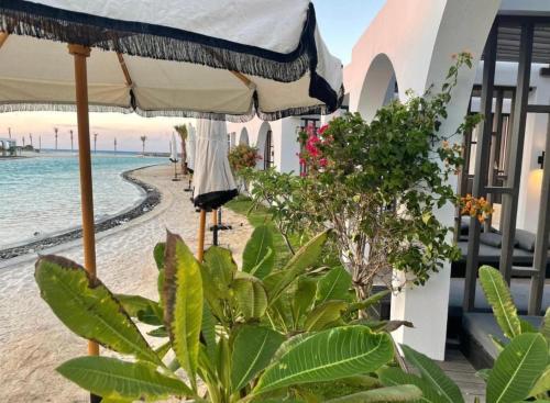 阿莱曼Le Sidi Cabana ( hacienda bay )的一片带遮阳伞和植物的海滩