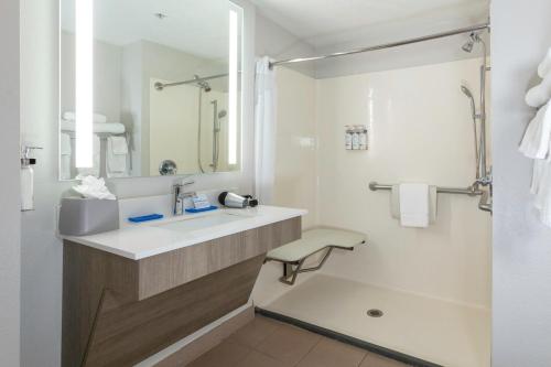 杰克逊维尔杰克逊维尔机场智选假日套房酒店的一间带水槽和淋浴的浴室