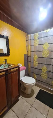 普拉亚埃尔莫萨Congos Hostal y Camping的一间带卫生间和淋浴的浴室