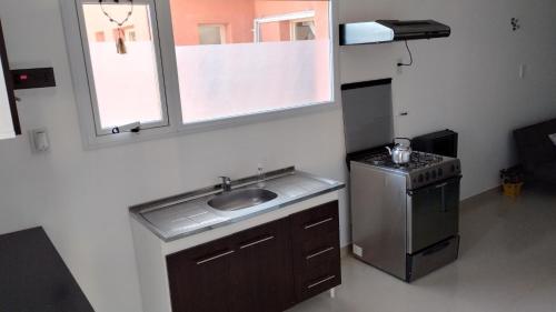 里奥加耶戈斯Depto Lionel的一间带水槽和炉灶的小厨房