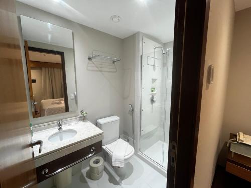 圣保罗Flat SP no Hotel Wyndham Ibirapuera - Moema的浴室配有卫生间、盥洗盆和淋浴。