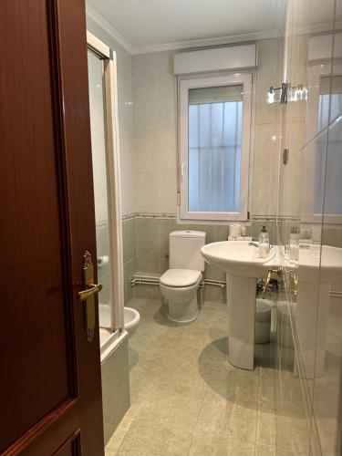 毕尔巴鄂威斯塔格瑞膳食公寓的一间带卫生间和水槽的浴室