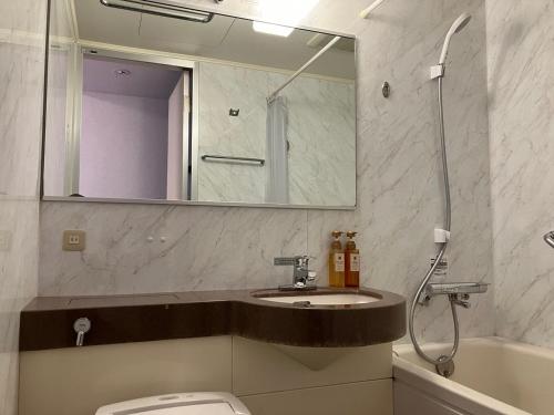 秋田Hotel Alpha-One Akita的一间带水槽、卫生间和镜子的浴室