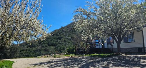 BradleyEagles Nest is a 40-acre 1400 Sqft Custom Home的山底房子
