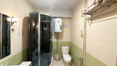 奇姆肯特Cannes Hotel的带淋浴和卫生间的小浴室