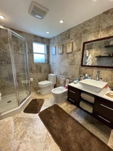 劳德代尔堡FortLauderdale Beach Apartment的一间带水槽、淋浴和卫生间的浴室