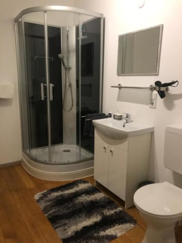 利普施塔特乡村酒店的带淋浴、盥洗盆和卫生间的浴室
