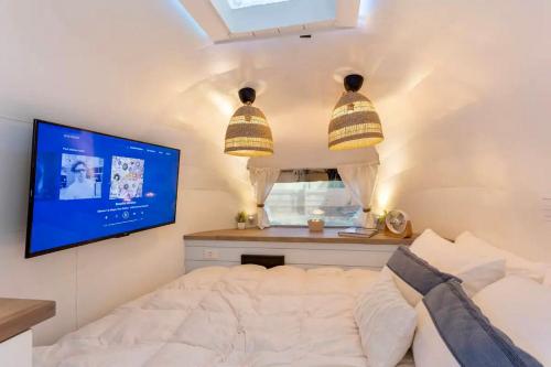 坦帕South Tampa Airstream Farm Stay的一间卧室配有一张床和一台平面电视