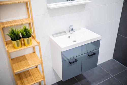 鹿特丹Warm 2 Bedroom Serviced Apartment 59m2 -LK21-的浴室设有水槽和两盆植物