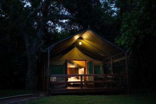 赫卢赫卢韦法拉扎游戏乐园Spa酒店的夜晚在黑暗中用树搭帐篷